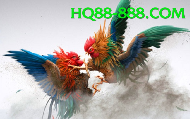 Đá Gà Trực Tiếp - Ưu đãi đặc biệt